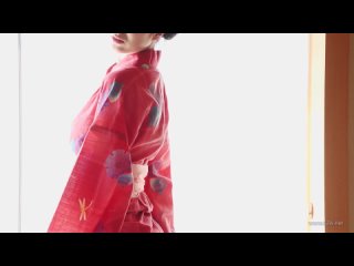 bsjdv-001b